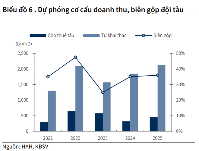 Một doanh nghiệp vận tải của Việt Nam nằm trong top 100 đội tàu lớn nhất thế giới - Ảnh 4.