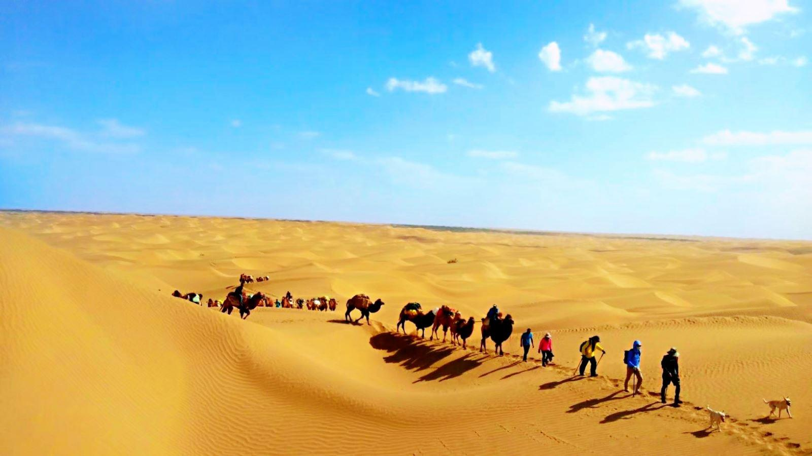 Trung Quốc huy động 3 triệu người mang &quot;bảo vật&quot; đến chôn giữa sa mạc khô cằn nhất thế giới, sau 30 năm, quay lại nhìn cảnh tượng mà khó tin - Ảnh 1.