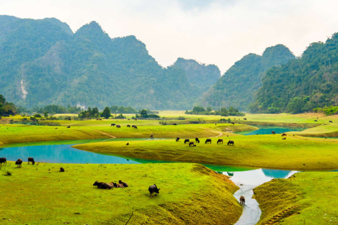Phát hiện thảo nguyên xanh chỉ cách Hà Nội 2 giờ chạy xe, du khách nhận xét như “Mông Cổ thu nhỏ” - Ảnh 4.