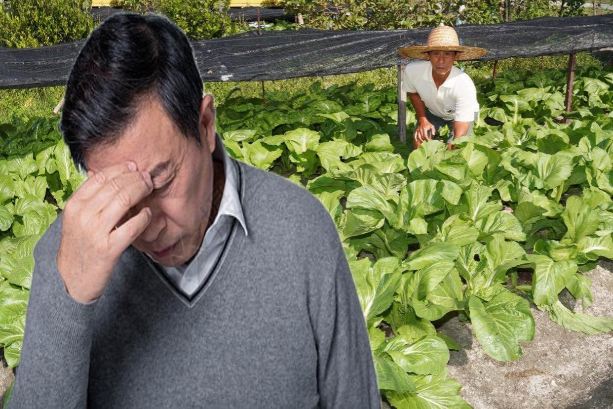 Cho hàng xóm mượn vườn trồng rau, sau 3 năm “đòi lại” thì vườn có &quot;chủ mới&quot;: Cảnh sát vào cuộc điều tra, kẻ tham lam nhận bài học nhớ đời - Ảnh 1.