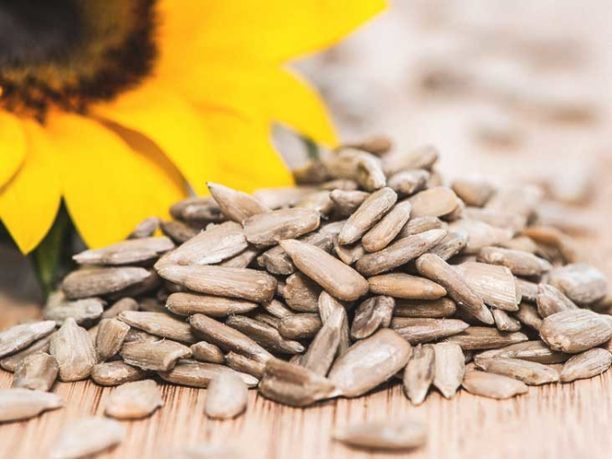 Loại hạt quen thuộc vừa cải thiện sinh sản lại giàu omega 3 và 6, giúp cơ thể khỏe "đủ đường" - Ảnh 3. Loại hạt quen thuộc vừa cải thiện sinh sản lại giàu omega 3 và 6, giúp cơ thể khỏe "đủ đường" - Ảnh 3.