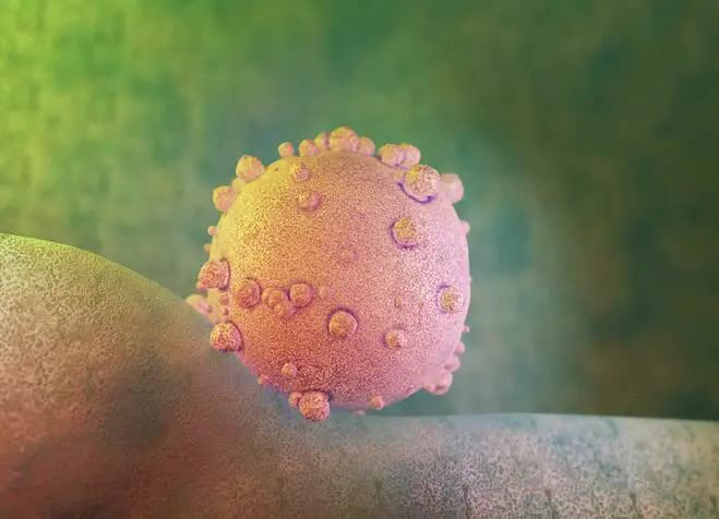 pancreatic-cancer-cell-1574151-7416-6566-1574151377.jpg pancreatic-cancer-cell-1574151-7416-6566-1574151377.jpg