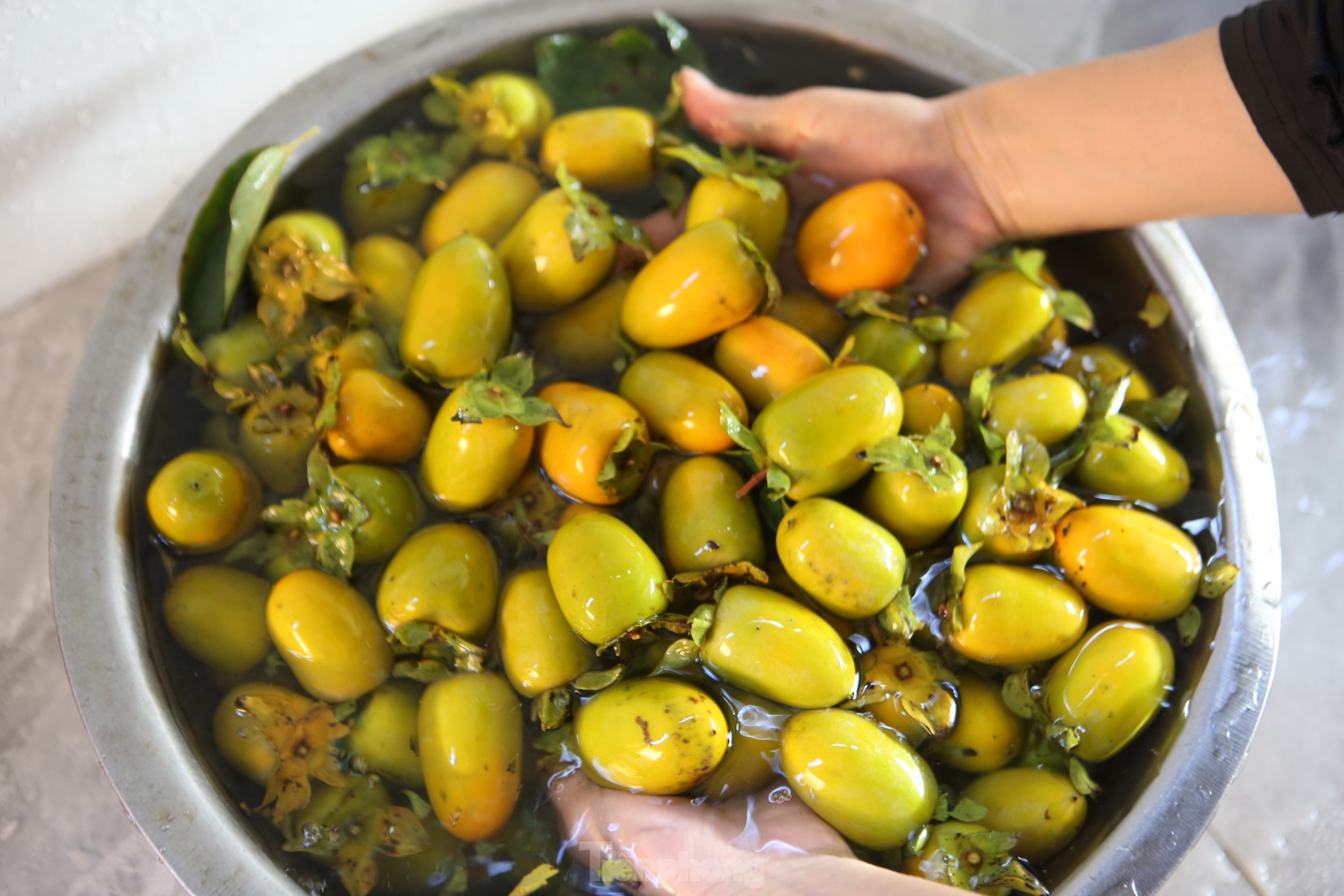 Mùa hồng giòn Yên Du, nông dân thu về hàng trăm triệu đồng - Ảnh 12.