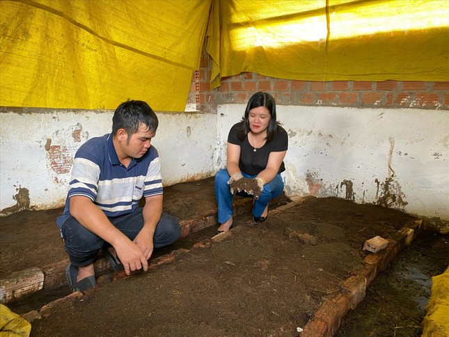 Trồng cây ăn quả xen canh, nông dân Kon Tum thoát nghèo khi kiếm hơn 2 tỉ đồng mỗi năm - Ảnh 3.