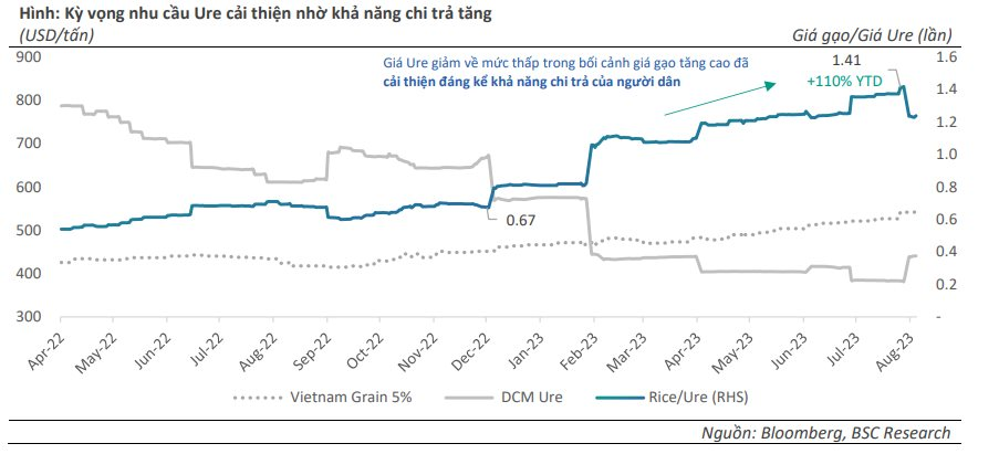 Cổ phiếu phân bón đồng loạt tăng kịch trần sau tin Trung Quốc tạm dừng xuất khẩu phân urê - Ảnh 6.