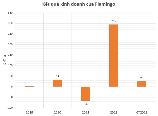 Chủ dự án Flamingo Đại Lải, Cát Bà báo lợi nhuận nửa đầu năm 2023 giảm 82% - Ảnh 2.