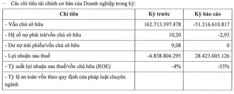 Cá tầm Việt Nam của đại gia Lê Anh Đức âm 51 tỷ đồng vốn chủ sở hữu sau khi mua lại hơn nghìn tỷ trái phiếu trước hạn - Ảnh 3.