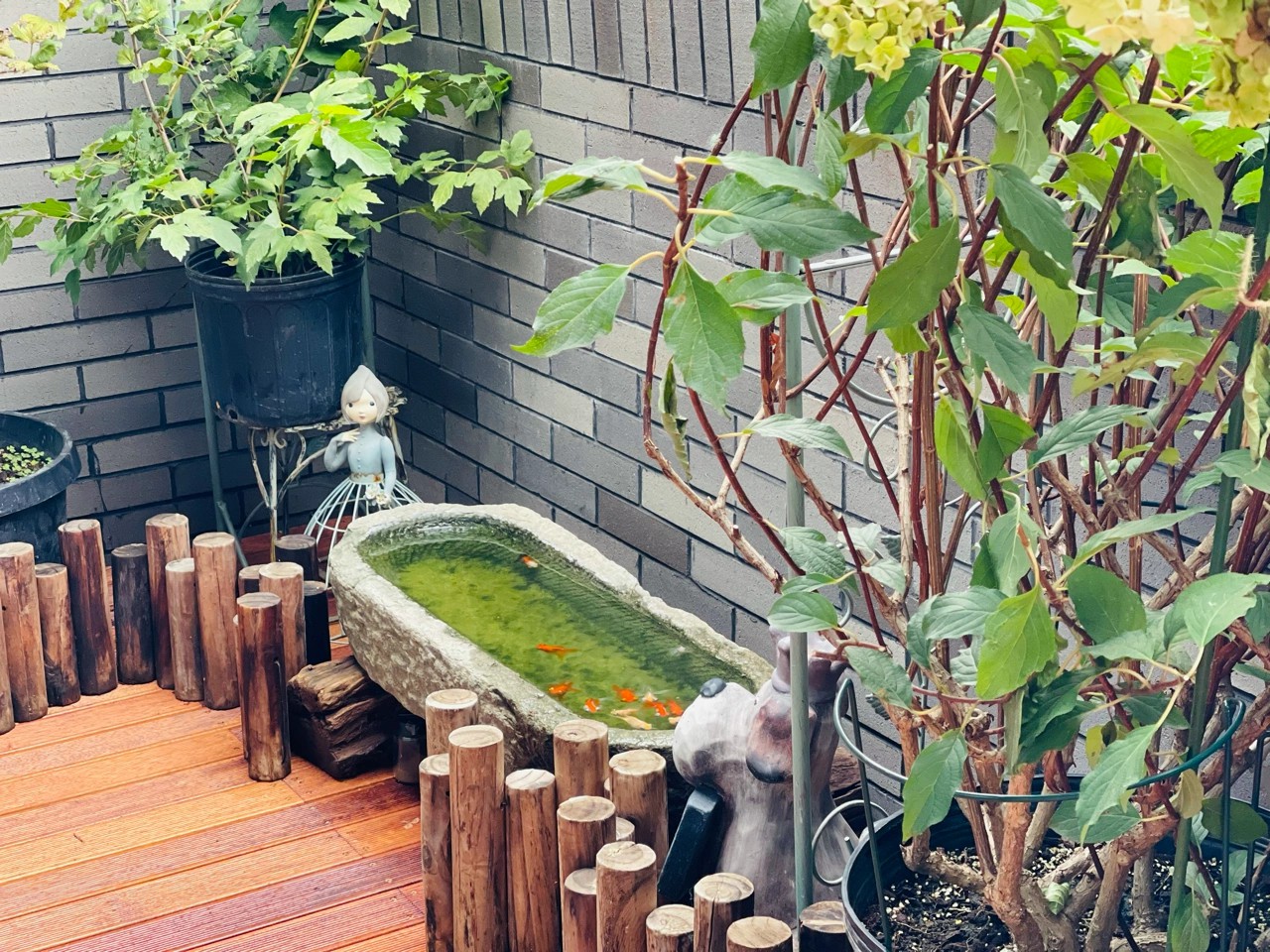 Chi hơn 70 triệu để cải tạo sân thượng, cặp vợ chồng có kết quả mỹ mãn với khu vườn 25m² xanh mướt mắt- Ảnh 7. Chi hơn 70 triệu để cải tạo sân thượng, cặp vợ chồng có kết quả mỹ mãn với khu vườn 25m² xanh mướt mắt- Ảnh 7.