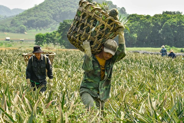 Việt Nam gặt hái được nhiều thành tựu chưa từng có trong lịch sử - Ảnh 2. Việt Nam gặt hái được nhiều thành tựu chưa từng có trong lịch sử - Ảnh 2.