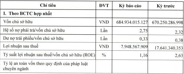 Nguy cơ mắc kẹt với khoản đầu tư nghìn tỷ đồng trái phiếu của Chứng khoán Everest - Ảnh 5.