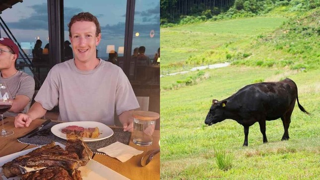 Tỷ phú Mark Zuckerberg chăn nuôi gia súc ở đảo Hawaii - Ảnh 1. Tỷ phú Mark Zuckerberg chăn nuôi gia súc ở đảo Hawaii - Ảnh 1.