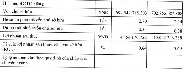 Nguy cơ mắc kẹt với khoản đầu tư nghìn tỷ đồng trái phiếu của Chứng khoán Everest - Ảnh 6.