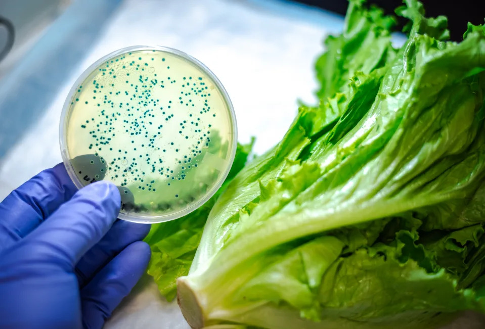 Những thực phẩm có nguy cơ nhiễm khuẩn salmonella cao, càng gần Tết càng cần thận trọng khi tiêu thụ- Ảnh 4. Những thực phẩm có nguy cơ nhiễm khuẩn salmonella cao, càng gần Tết càng cần thận trọng khi tiêu thụ- Ảnh 4.