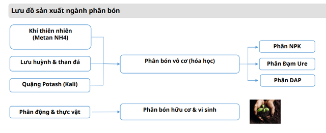 Một mặt hàng quan trọng trên thị trường sẽ tiếp tục tăng giá, Việt Nam có 1.000 doanh nghiệp sản xuất - Ảnh 3.