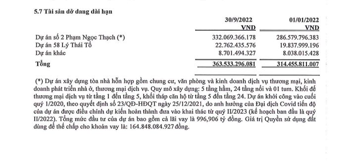 'Ôm' dự án T&T Capella, Vegetexco lại muốn lấn sân sang mảng bảo hiểm - Ảnh 2.