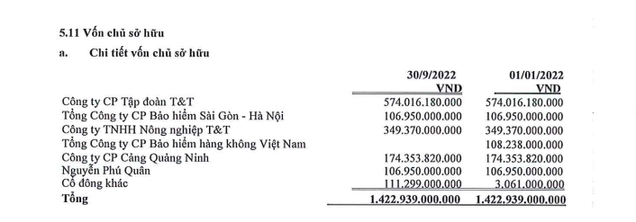 'Ôm' dự án T&T Capella, Vegetexco lại muốn lấn sân sang mảng bảo hiểm - Ảnh 1.