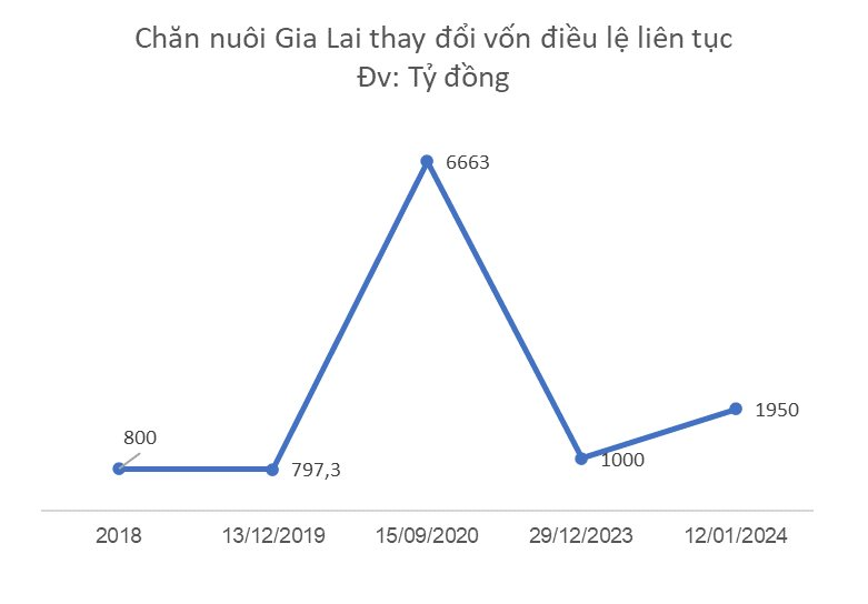 Vốn điều lệ từ 6.663 tỷ xuống 1.950 tỷ: Hành trình thay đổi của Chăn nuôi Gia Lai sau lần thứ 2 hoán đổi nợ thành vốn cổ phần với HAGL - Ảnh 2.