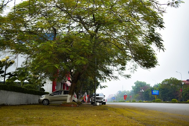 Tỉnh không có núi, không có biển đặt mục tiêu trở thành thành phố trực thuộc Trung ương năm 2037 - Ảnh 11. Tỉnh không có núi, không có biển đặt mục tiêu trở thành thành phố trực thuộc Trung ương năm 2037 - Ảnh 11.