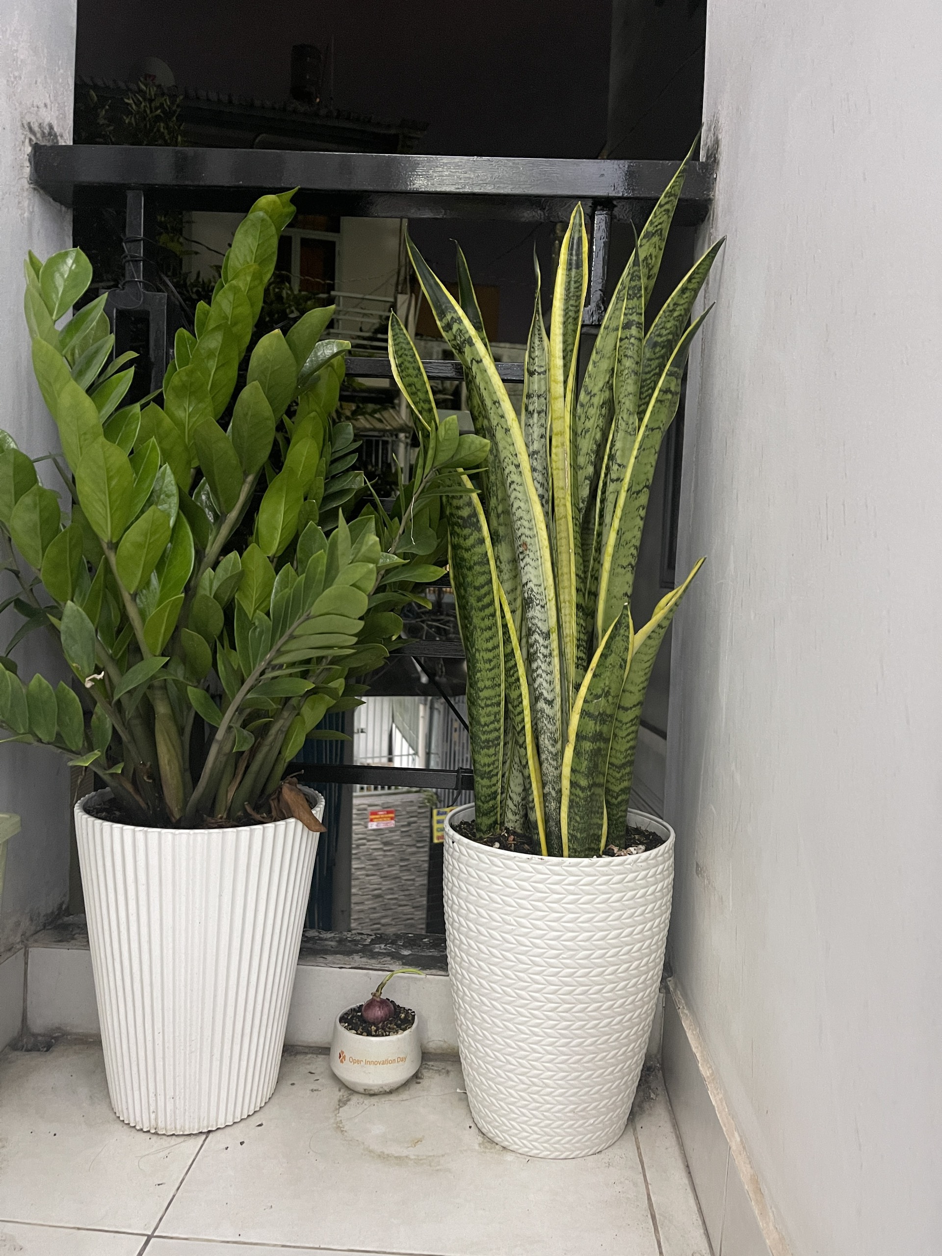 Gia đình trẻ ở Hà Nội và bài toán chi phí khi chuyển vào TP.HCM sống: Thuê nhà mặt đất lại tiết kiệm bất ngờ!- Ảnh 11. Gia đình trẻ ở Hà Nội và bài toán chi phí khi chuyển vào TP.HCM sống: Thuê nhà mặt đất lại tiết kiệm bất ngờ!- Ảnh 11.