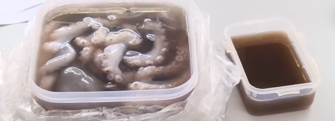 Hình ảnh mực đóng thành tảng đen xì, bày la liệt dưới sàn nhà khiến cư dân mạng hốt hoảng: "Đằng sau những suất buffet 99k, 129k đây sao?" - Ảnh 4.