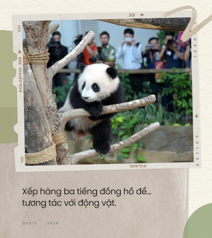 Top 10 xu hướng du lịch của người trẻ Trung Quốc: Biến hóa muôn hình vạn trạng theo "túi tiền", trải nghiệm những chuyến đi hướng về nội tâm - Ảnh 5.