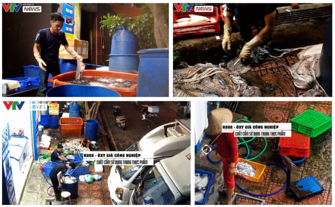 Hình ảnh mực đóng thành tảng đen xì, bày la liệt dưới sàn nhà khiến cư dân mạng hốt hoảng: "Đằng sau những suất buffet 99k, 129k đây sao?" - Ảnh 3.