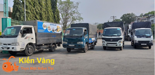 Top 3 công ty dịch vụ chuyển nhà tại Hà Nội giá rẻ - Ảnh 5. Top 3 công ty dịch vụ chuyển nhà tại Hà Nội giá rẻ - Ảnh 5.