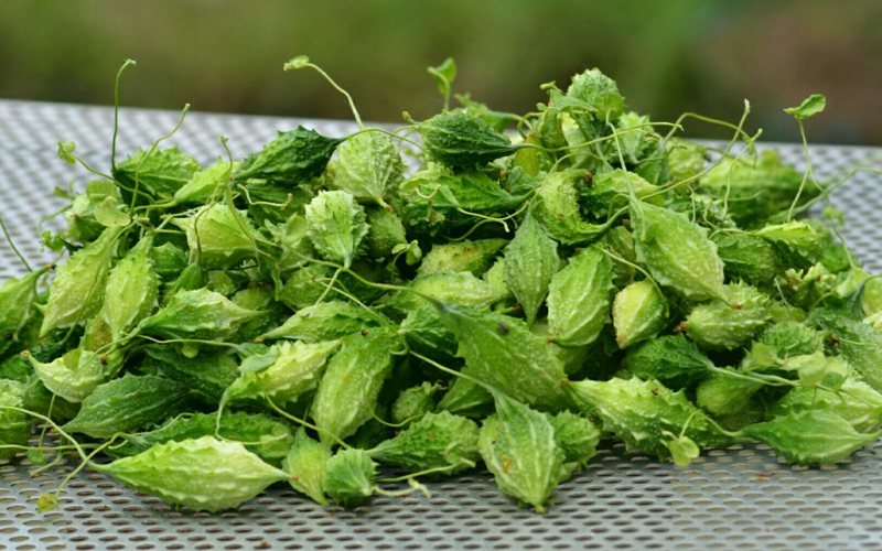 Loại quả xù xì, vị đắng nhưng giàu vitamin C gấp 20 dưa chuột, được gọi là "insulin tự nhiên", cực phẩm đối với người bị tiểu đường, giảm cân - Ảnh 2.