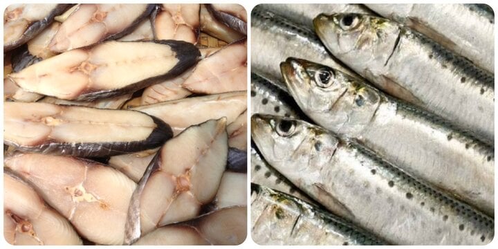 5 loại cá giàu dinh dưỡng, tốt cho sức khoẻ nên mua khi đi chợ - Ảnh 1.