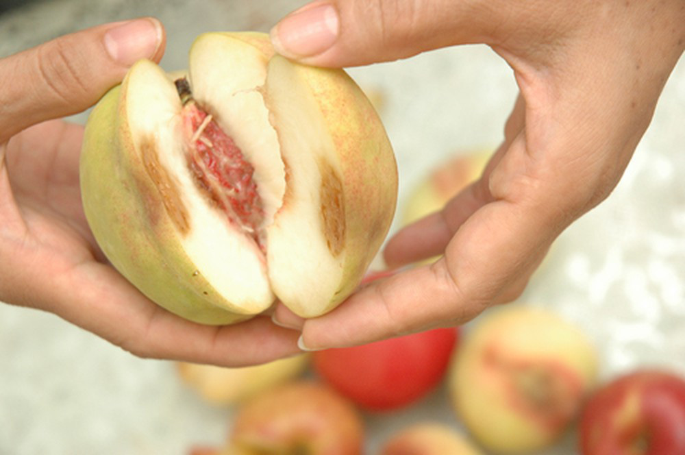 Chất cực độc gây ung thư nhưng thường ẩn nấp trong 4 thứ hầu như gia đình nào cũng có - Ảnh 5. Chất cực độc gây ung thư nhưng thường ẩn nấp trong 4 thứ hầu như gia đình nào cũng có - Ảnh 5.