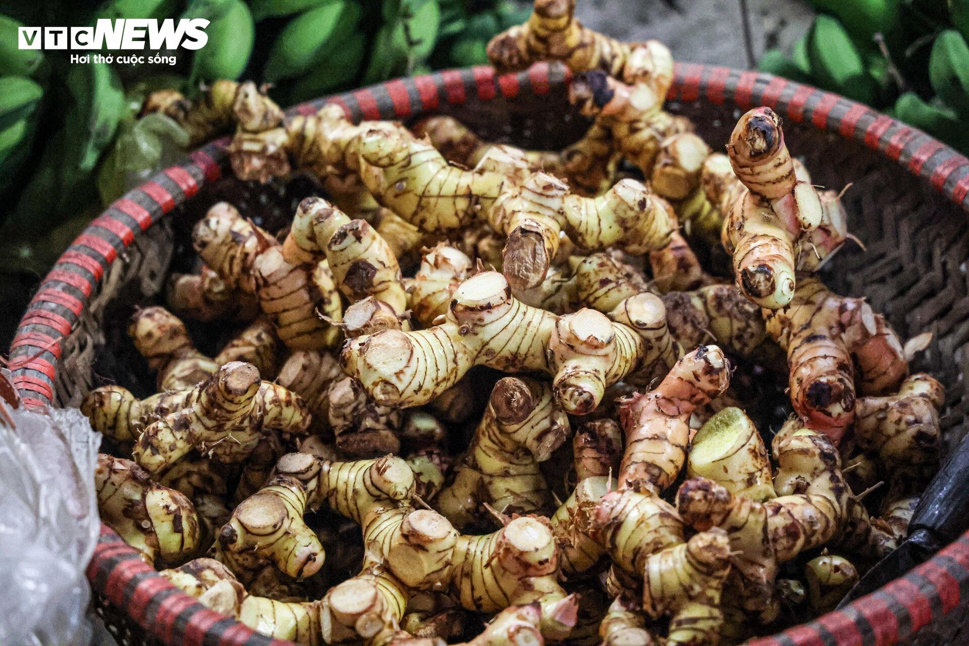 Dân Vũ Đại xuyên đêm đỏ lửa, đeo kính bơi kho cá bạc triệu phục vụ Tết - Ảnh 3.