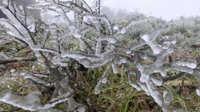 Không phải Fansipan hay Mẫu Sơn, đến đỉnh núi này cũng có thể ngắm được băng giá: Cách Hà Nội hơn 200km- Ảnh 6. Không phải Fansipan hay Mẫu Sơn, đến đỉnh núi này cũng có thể ngắm được băng giá: Cách Hà Nội hơn 200km- Ảnh 6.
