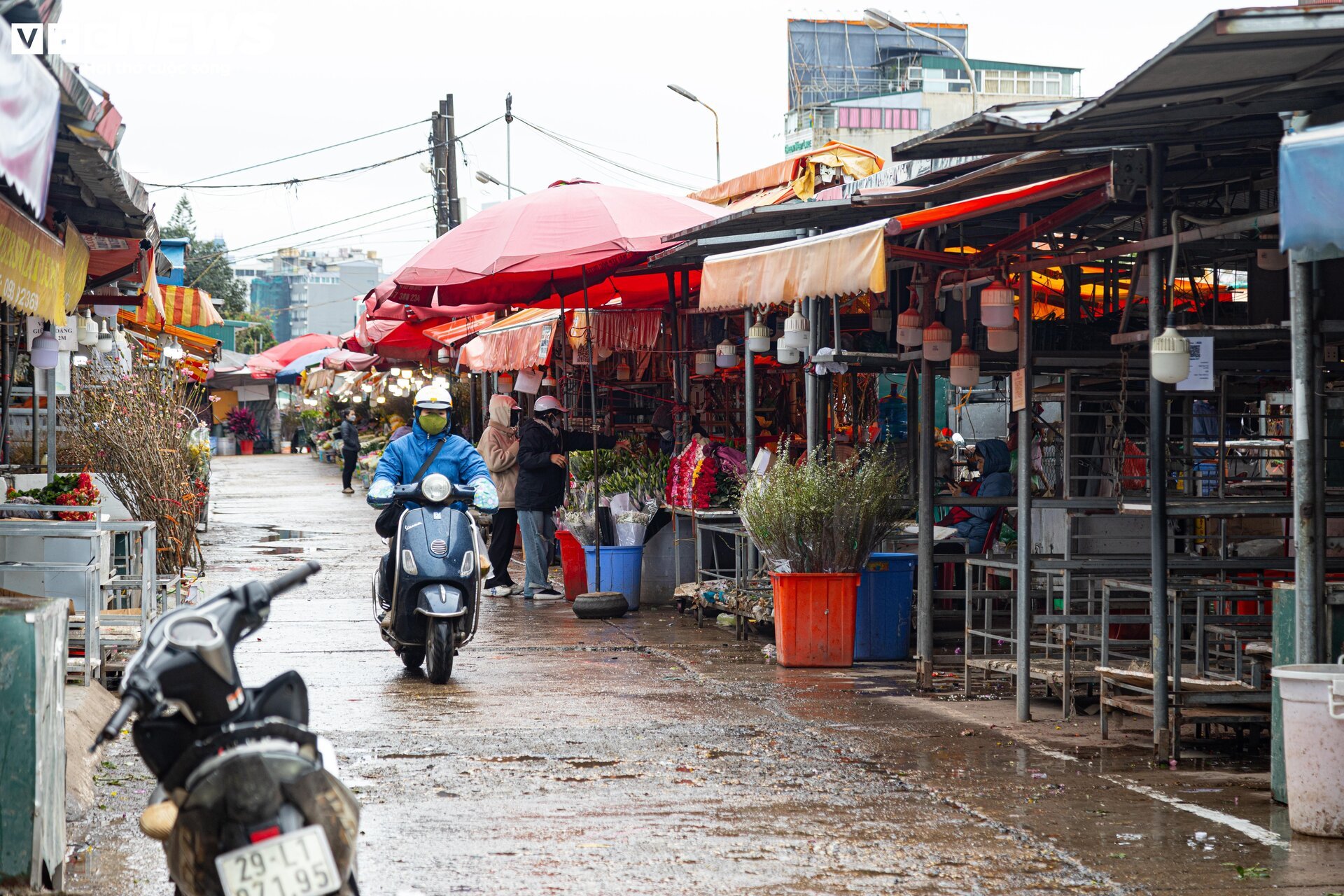 Hà Nội mưa rét đỉnh điểm, người bán 'ôm' cây cảnh Tết, sốt ruột chờ khách mua - Ảnh 10.