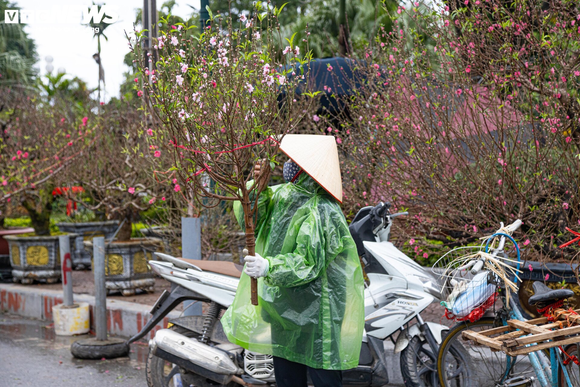 Hà Nội mưa rét đỉnh điểm, người bán 'ôm' cây cảnh Tết, sốt ruột chờ khách mua - Ảnh 15.