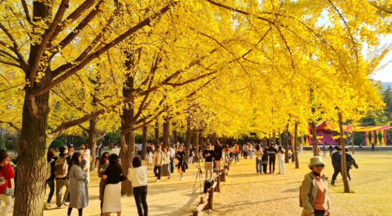 Tour Tết nội địa thất thế trước tour nước ngoài vì vé máy bay đắt đỏ - Ảnh 1. Tour Tết nội địa thất thế trước tour nước ngoài vì vé máy bay đắt đỏ - Ảnh 1.