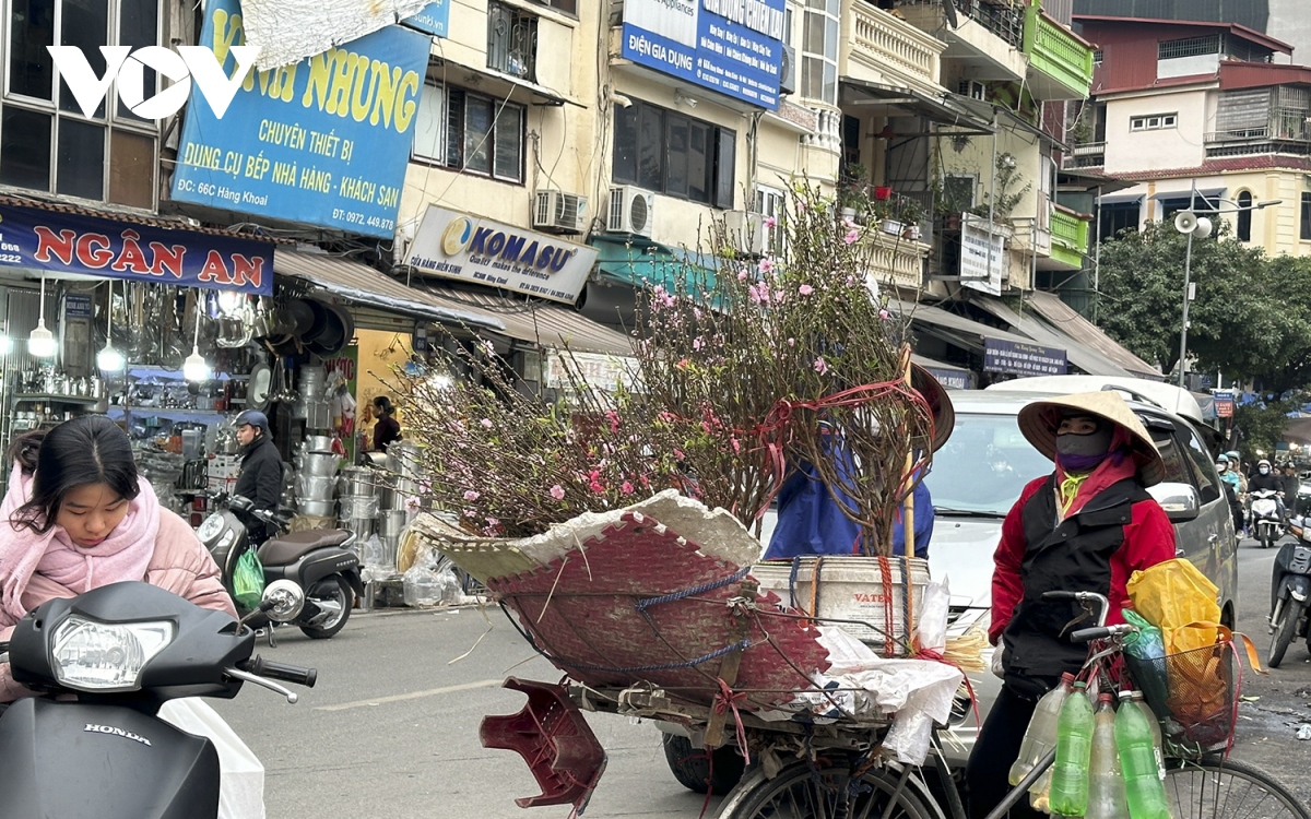 Phố phường Hà Nội đã ngập tràn không khí Tết - Ảnh 3.