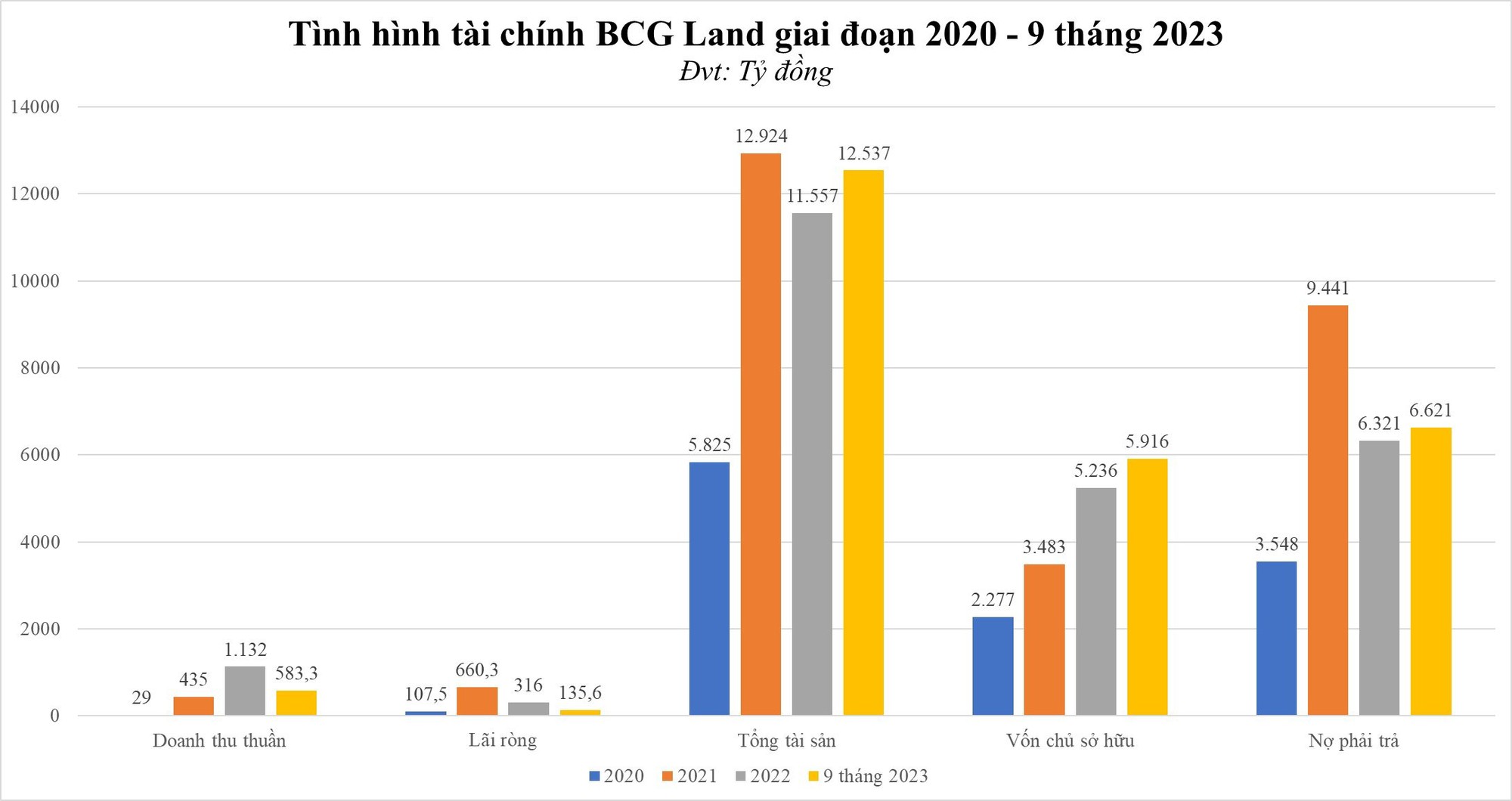 Đằng sau đà giảm điểm của BCG Land - Ảnh 1.