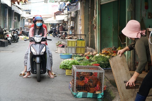 Nguy cơ H5N1 xâm nhập, bùng phát - Ảnh 3.