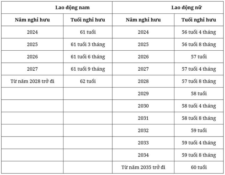 Tuổi nghỉ hưu của người lao động năm 2024 - Ảnh 1. Tuổi nghỉ hưu của người lao động năm 2024 - Ảnh 1.