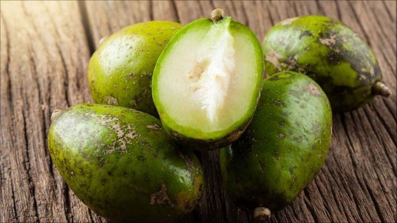 1 loại quả chua chát nhưng tốt ngang insulin tự nhiên có thể hạ đường huyết, cải lão hoàn đồng: Rất sẵn ở chợ Việt   - Ảnh 1.