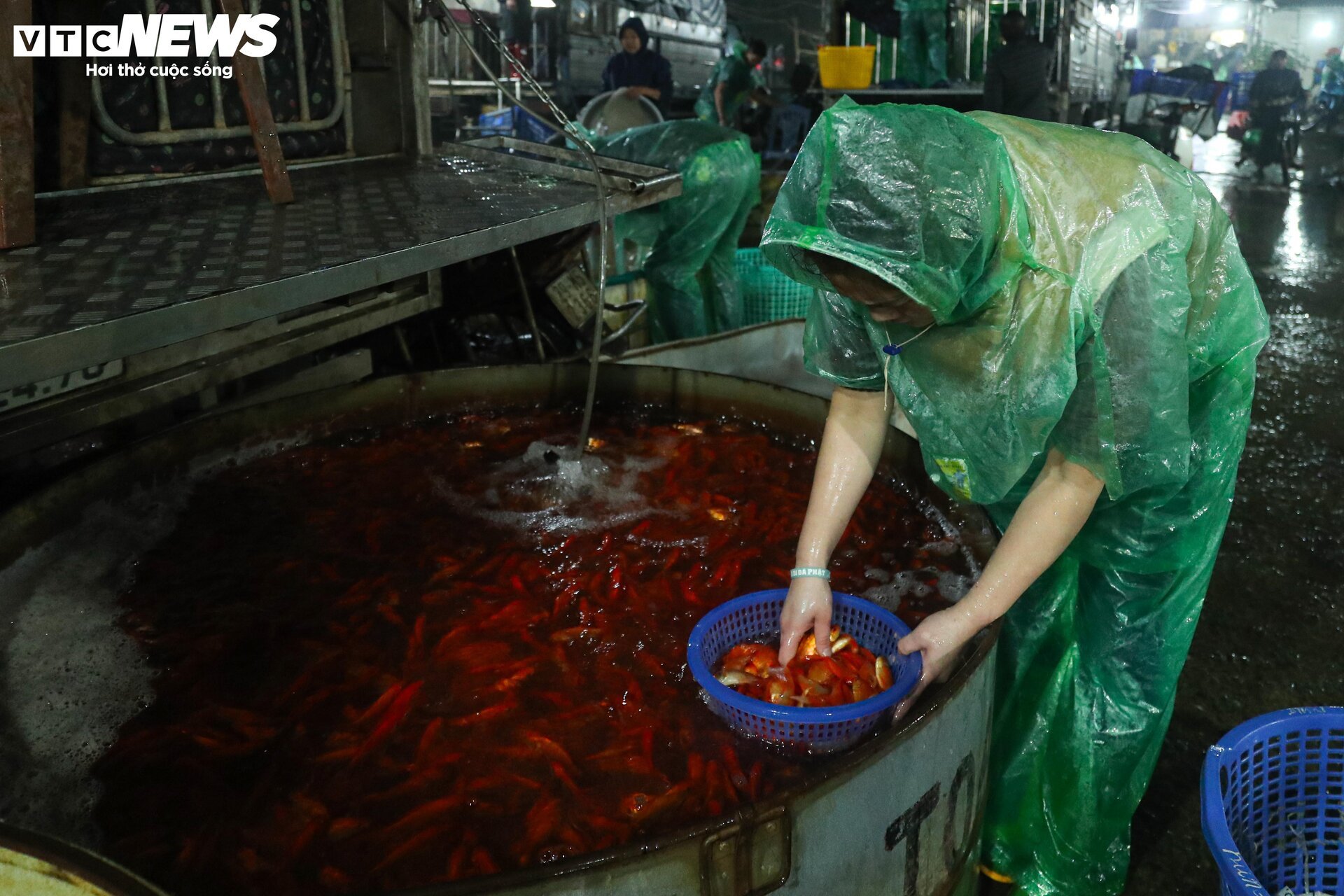 Chợ cá lớn nhất Hà Nội buôn bán xuyên đêm trước ngày ông Công, ông Táo - Ảnh 4.