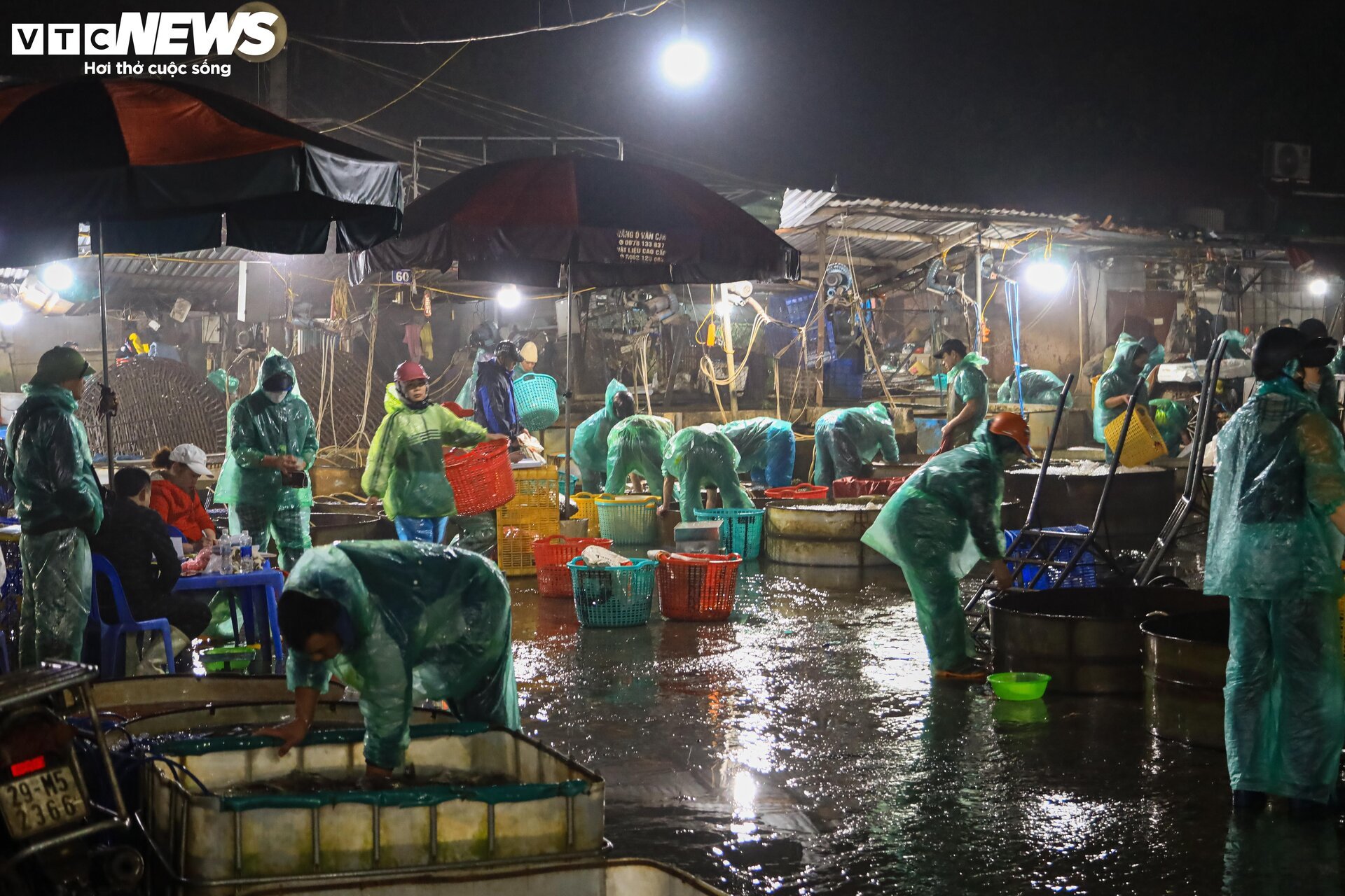 Chợ cá lớn nhất Hà Nội buôn bán xuyên đêm trước ngày ông Công, ông Táo - Ảnh 2.
