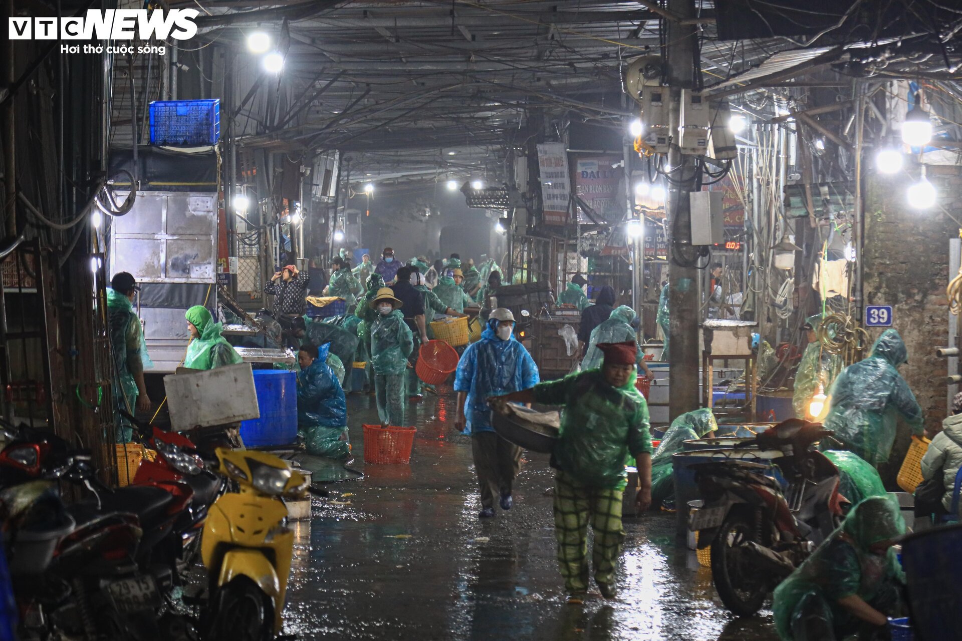 Chợ cá lớn nhất Hà Nội buôn bán xuyên đêm trước ngày ông Công, ông Táo - Ảnh 1.