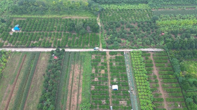 Những dự án đang chạy đua với thời gian giúp đưa huyện phía Tây Hà Nội lên quận trong năm tới - Ảnh 11. Những dự án đang chạy đua với thời gian giúp đưa huyện phía Tây Hà Nội lên quận trong năm tới - Ảnh 11.