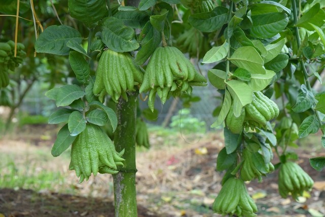 Những dự án đang chạy đua với thời gian giúp đưa huyện phía Tây Hà Nội lên quận trong năm tới - Ảnh 12. Những dự án đang chạy đua với thời gian giúp đưa huyện phía Tây Hà Nội lên quận trong năm tới - Ảnh 12.