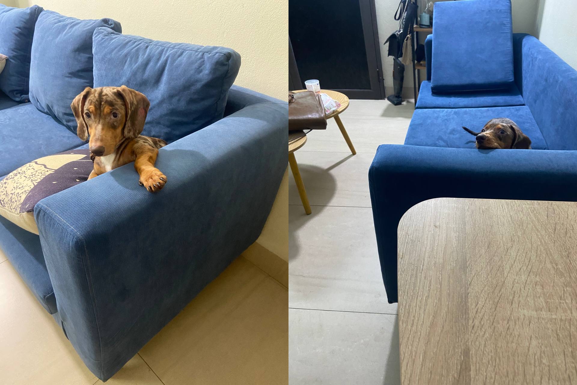 Giá nhà thuê ngày càng “loạn lạc”: Xông xênh hầu bao cho chỗ ở dần trở thành quyết định sai lầm?- Ảnh 2. Giá nhà thuê ngày càng “loạn lạc”: Xông xênh hầu bao cho chỗ ở dần trở thành quyết định sai lầm?- Ảnh 2.