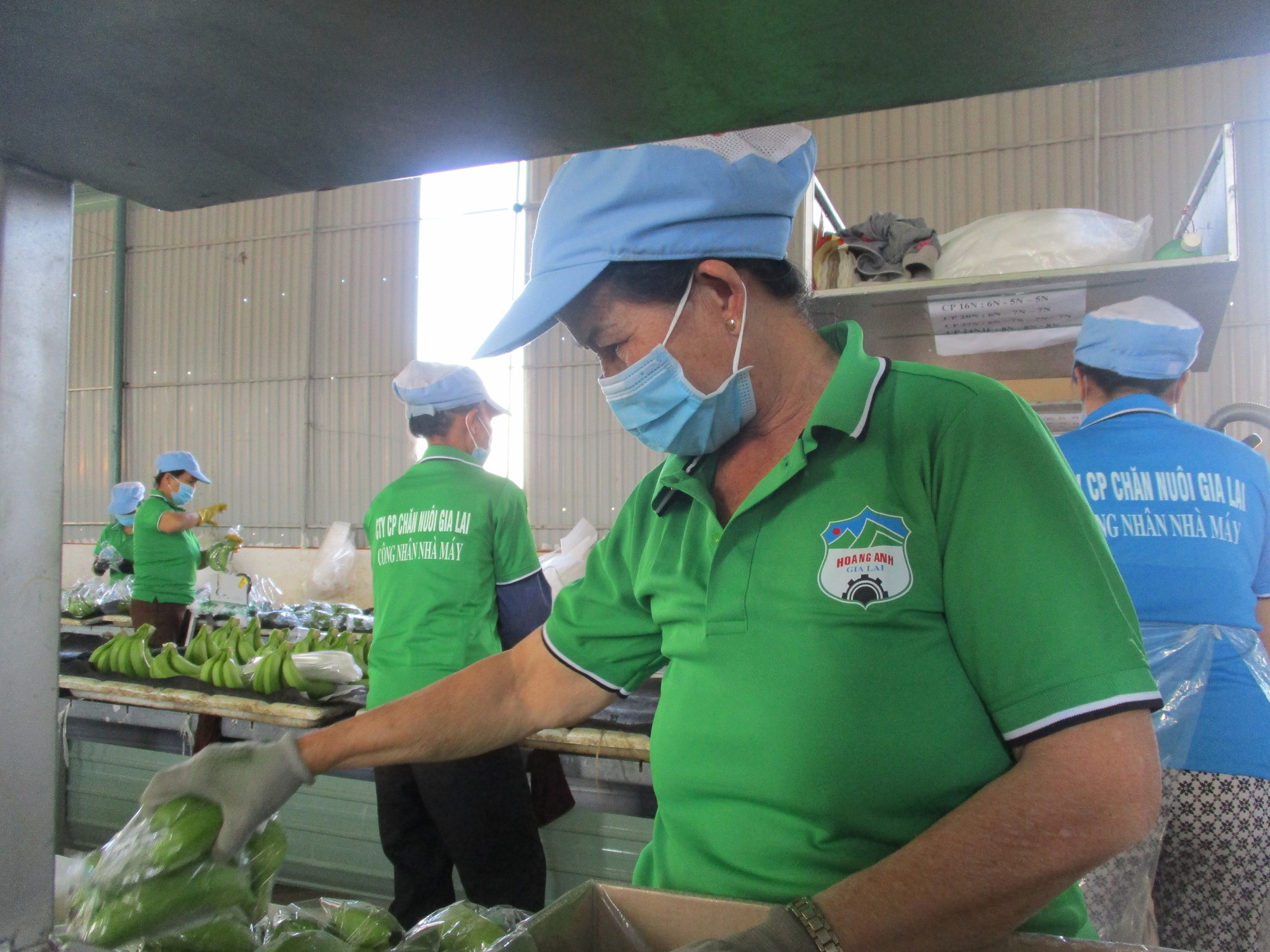 Công ty bầu Đức lại bán tài sản để trả nợ- Ảnh 1. Công ty bầu Đức lại bán tài sản để trả nợ- Ảnh 1.