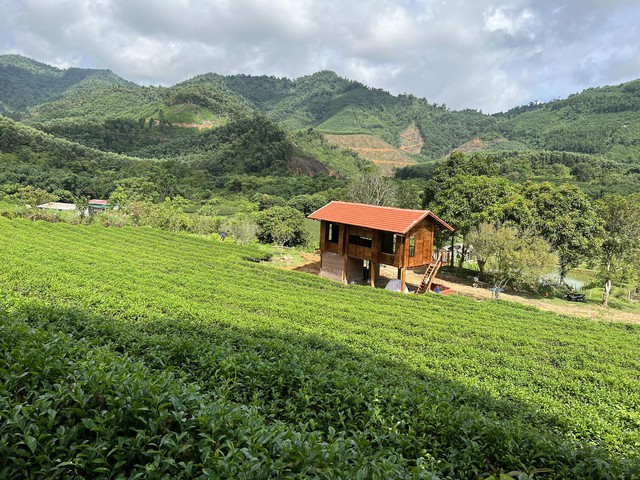 Đang làm chủ ở thành phố, đôi vợ chồng bất ngờ dọn lên núi làm nhà sàn, sống tự cung tự cấp - Ảnh 2.