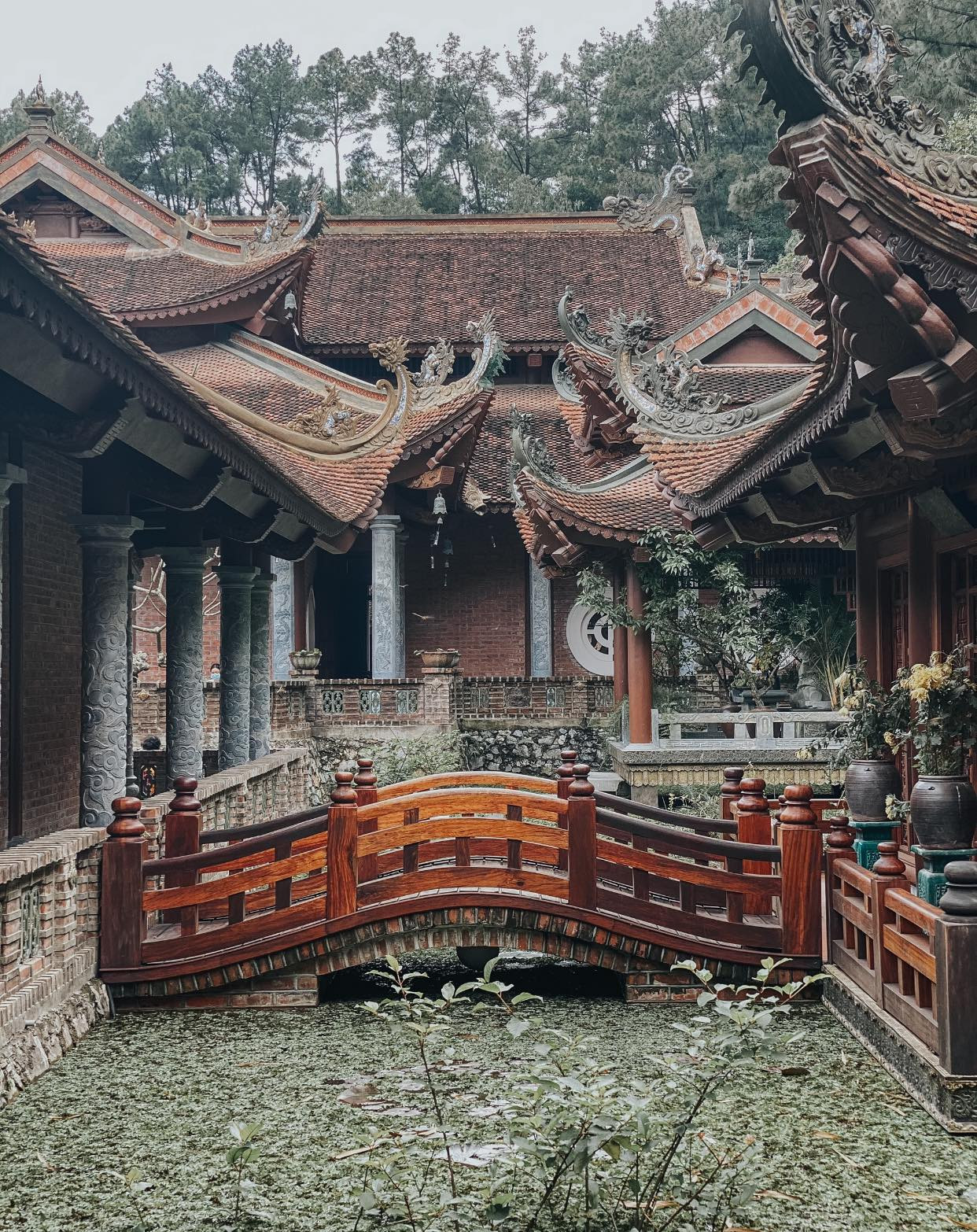 Tỉnh nhỏ thứ 2 Việt Nam được giải thưởng du lịch quốc tế, có nhiều chùa đẹp, cách Hà Nội chưa tới 100km - Ảnh 8.