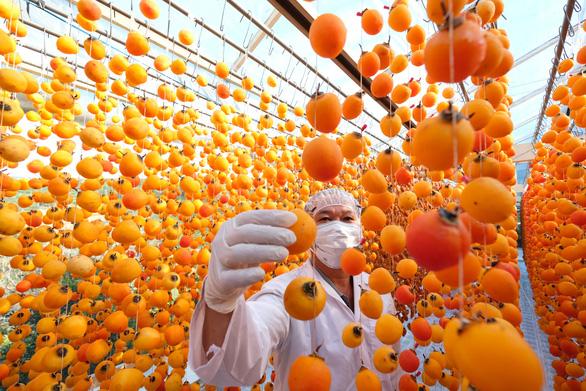 Loại quả "của các vị thần" ngọt mát nhưng chống ung thư, giảm mỡ máu hiệu quả, giảm nguy cơ tiểu đường, là biểu tượng may mắn dịp Tết - Ảnh 3. Loại quả "của các vị thần" ngọt mát nhưng chống ung thư, giảm mỡ máu hiệu quả, giảm nguy cơ tiểu đường, là biểu tượng may mắn dịp Tết - Ảnh 3.